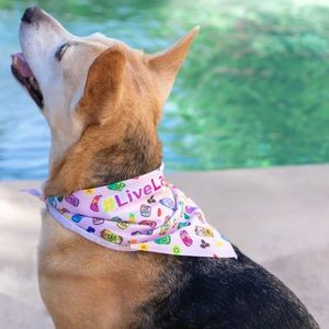 LA CROIX PINK PET BANDANA SMALL